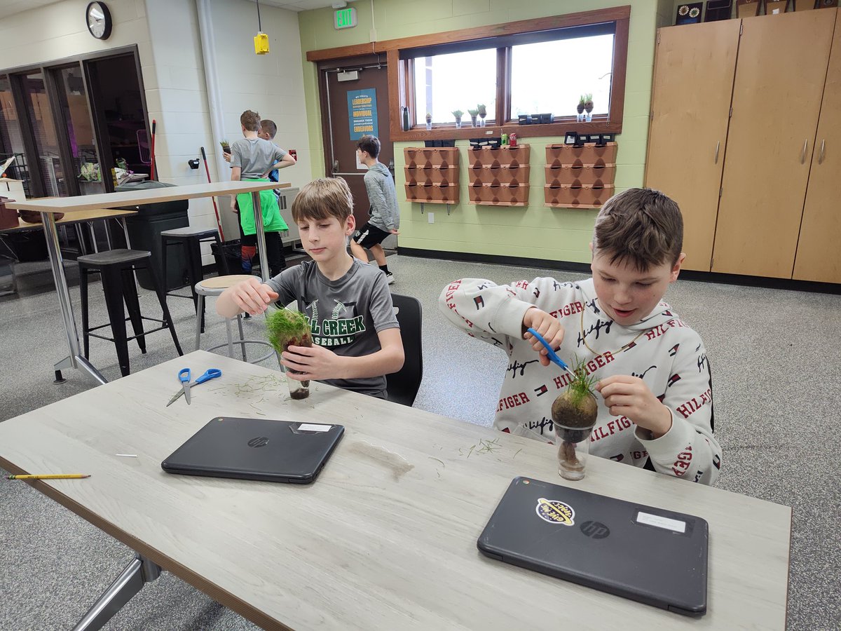 Future Barbers? The Fall Creek 6th grade Agriculture Students learned about growing plants by making homemade chia heads. Today we gave them haircuts. #inquiry #gocrickets <a href="/fccrickets/">Fall Creek School District</a>