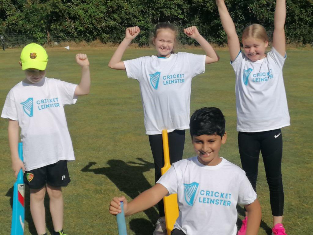 Cricket Leinster tweet media