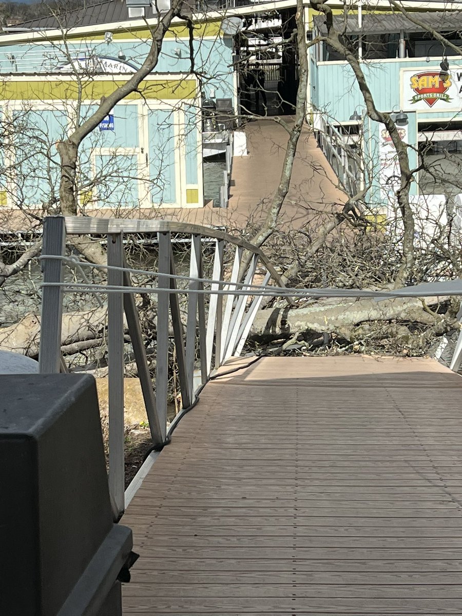 SavedTheVikes's tweet photo. Current situation at Blue Turtle Bay Marina in Old Hickory. 60MPH winds. Power out, trees down everywhere. Highly advise people stay inside. Current hold time for NES is 441 minutes. #Nashville #tennessee #OldHickory #ExtremeWeather
@WSMV @WKRN @NC5 @FOXNashville https://t.co/1Jgy6S7hS5