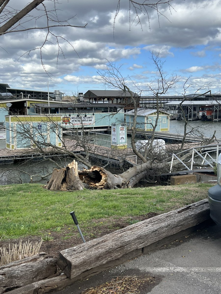 SavedTheVikes's tweet photo. Current situation at Blue Turtle Bay Marina in Old Hickory. 60MPH winds. Power out, trees down everywhere. Highly advise people stay inside. Current hold time for NES is 441 minutes. #Nashville #tennessee #OldHickory #ExtremeWeather
@WSMV @WKRN @NC5 @FOXNashville https://t.co/1Jgy6S7hS5