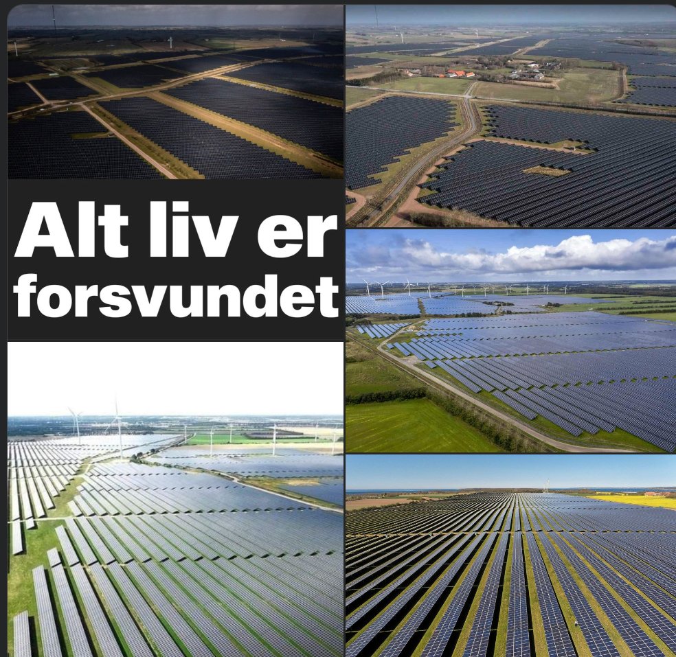 Nu hører jeg så, at man fra staten igen vil opkøbe landbrugsjord, som skal udstykkes til vildt og fauna og så anlægger man den ene klamme modbydelige solcellepark efter den anden. ALTSÅ....hvor skal vi snart få danske grøntsager fra? Enten kvæles landbruget med solc. el. opkøb.