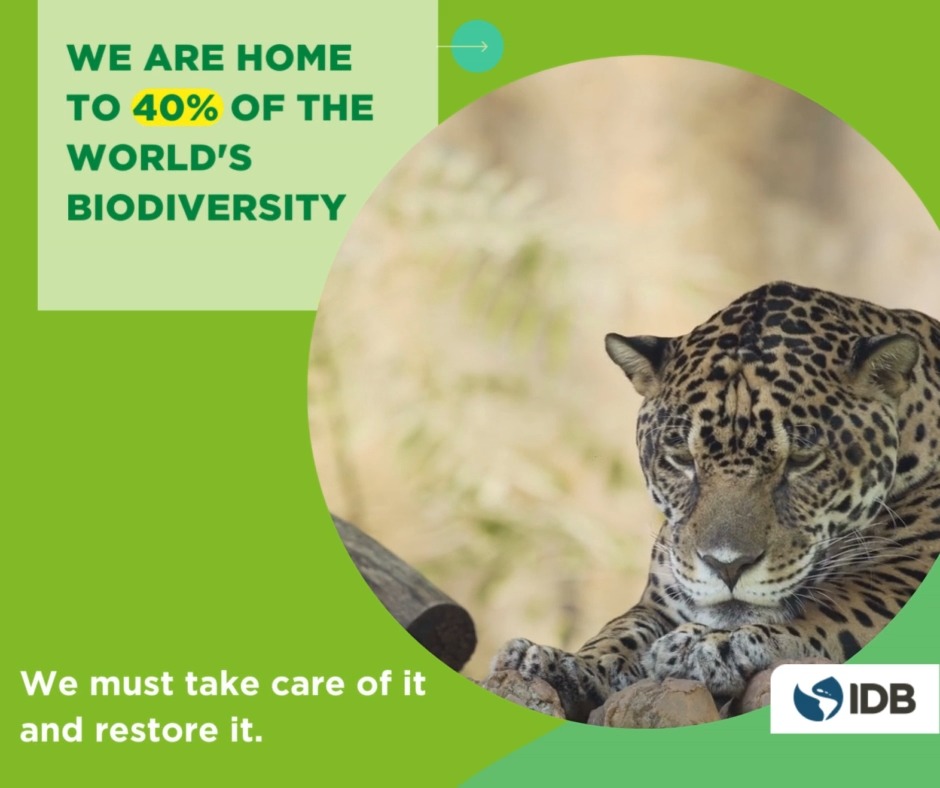 Today on #WorldWildlifeDay, we remember that LAC is home to more than 40% of the...