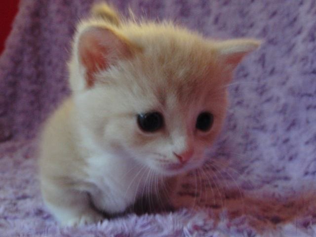 helo im am,,, loves u!,!! alwais,