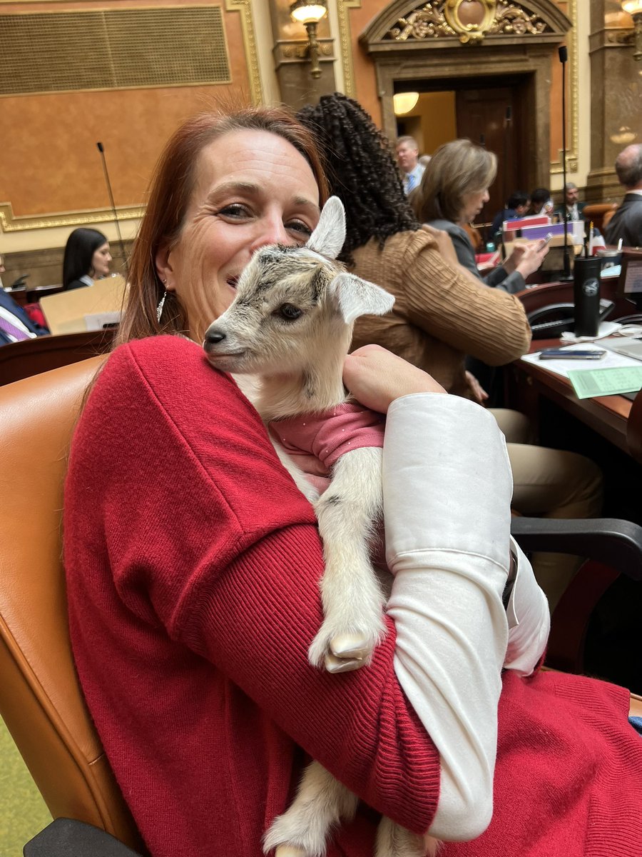 KingForUtah's tweet image. The strangest things show up on the House floor.