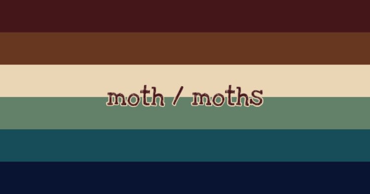 MOTH/MOTHS FLAGS

for people who use moth/mothself pronouns [requested]

#flagtwt #xenictwt