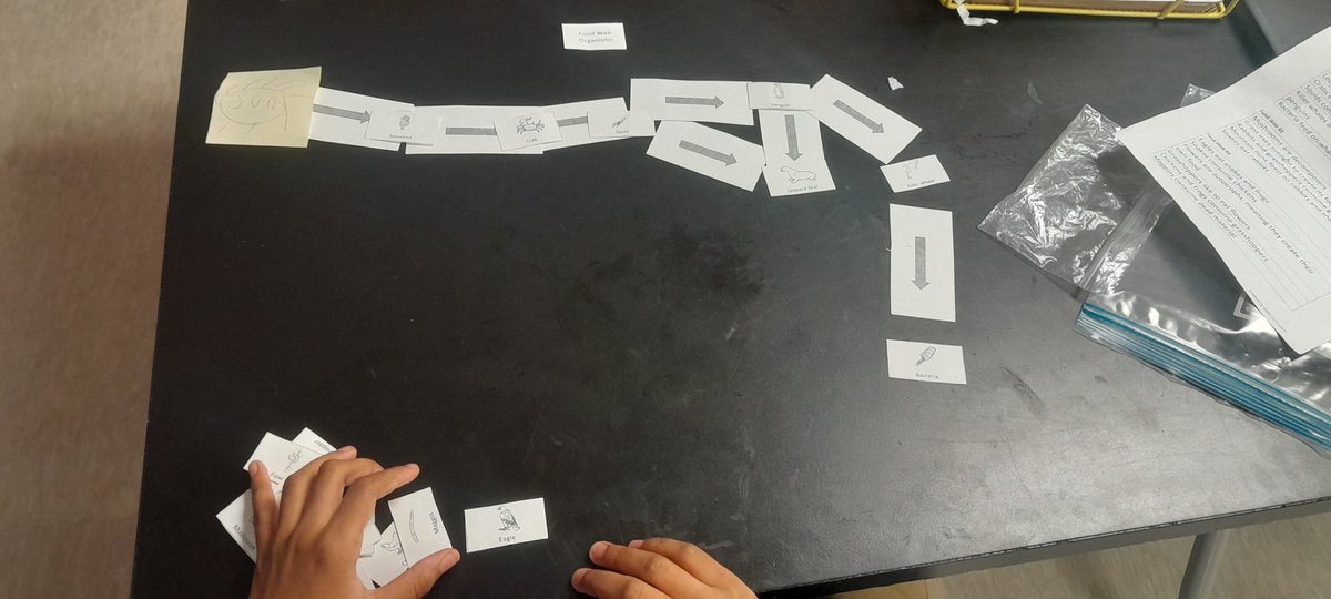 Ms. L. Dillard HISD (@mshisd) on Twitter photo 5.9B Identify energy flow in a Food Web. <a href="/_MsCooper_/">Danica Cooper</a> <a href="/CMartinez_HISD/">Clemente Martinez Elementary School</a> @HISD_ElemSci 5.9B Identify energy flow in a Food Web. <a href="/_MsCooper_/">Danica Cooper</a> <a href="/CMartinez_HISD/">Clemente Martinez Elementary School</a> @HISD_ElemSci