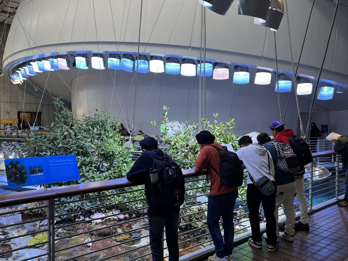 1DelToro's tweet photo. Spent my Friday chaperoning a trip to the California Academy of Science in San Francisco. Love giving students an opportunity to visit places and extend the walls of the classroom. #mhsbears #mercedbears #muhsd #wearemuhsd https://t.co/KhCf1CxL3Y