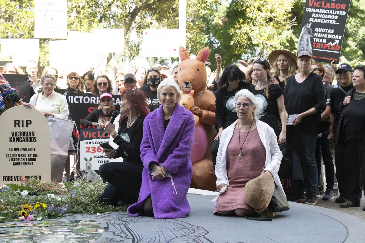 #WWD2023 Protest pics by Ross Spirou ✊

It was a beautiful event! Thanks to all who came, spoke and supported. We are sending a powerful message for positive change 🌟

More pics on our FB.

#WorldWildlifeDay #stopkillingkangaroos #EndWildlifeTrade #kangaroos