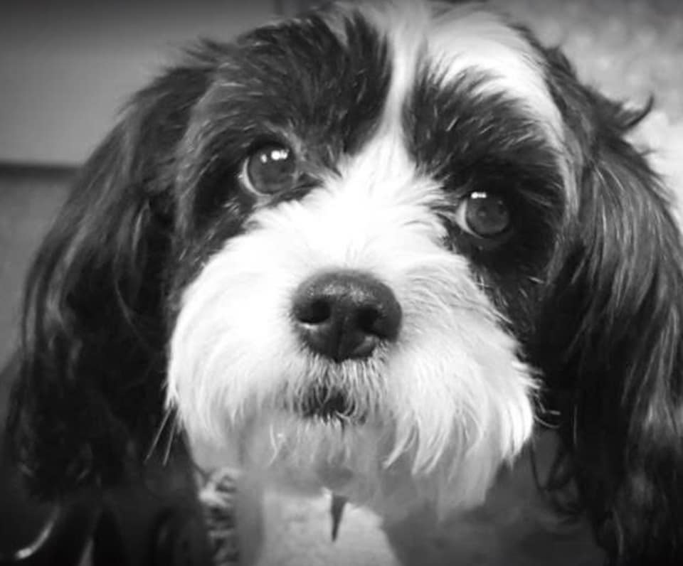 PromoChick😷 tweet media