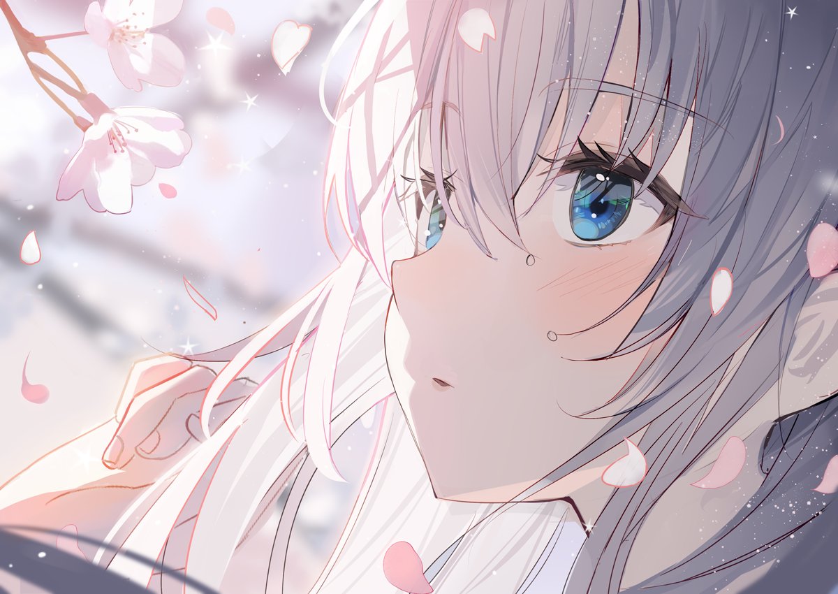 1girl solo cherry blossoms blue eyes petals long hair bangs  illustration images