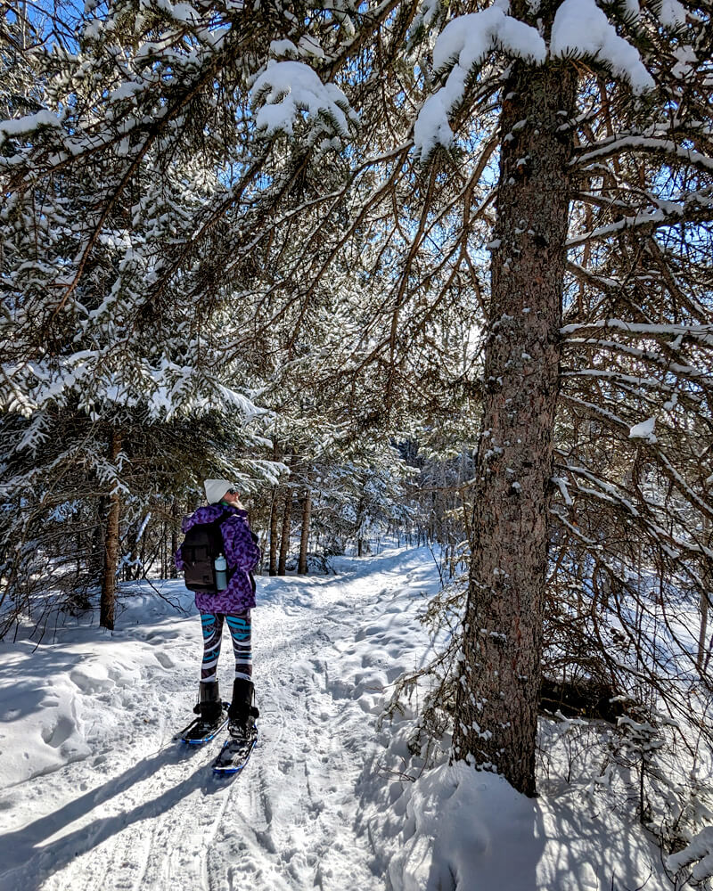 IBBtravel's tweet image. With the impending storm coming, I'd say my winter guide to Riding Mountain #NationalPark is right on cue! 👇
ivebeenbit.ca/things-to-do-i…
Just one of the many reasons why you should plan to visit #ClearLakeCountry in @TravelManitoba when the snow flies! ❄️ #ExploreMB