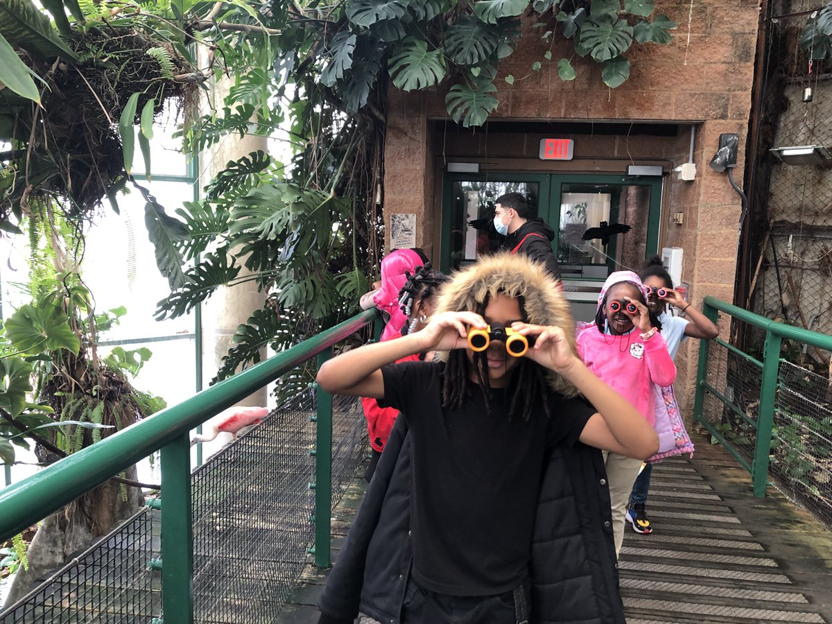 Live It Learn It tweet media