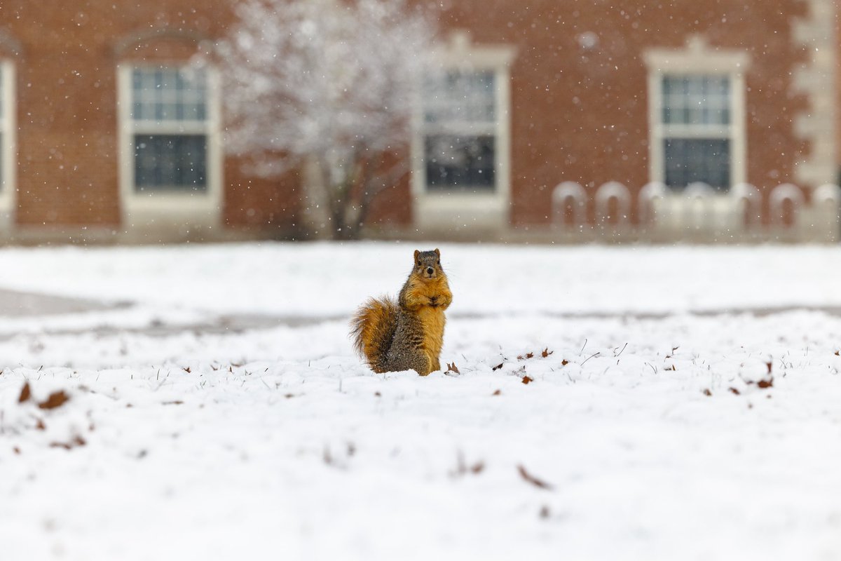 Redbird Well tweet media