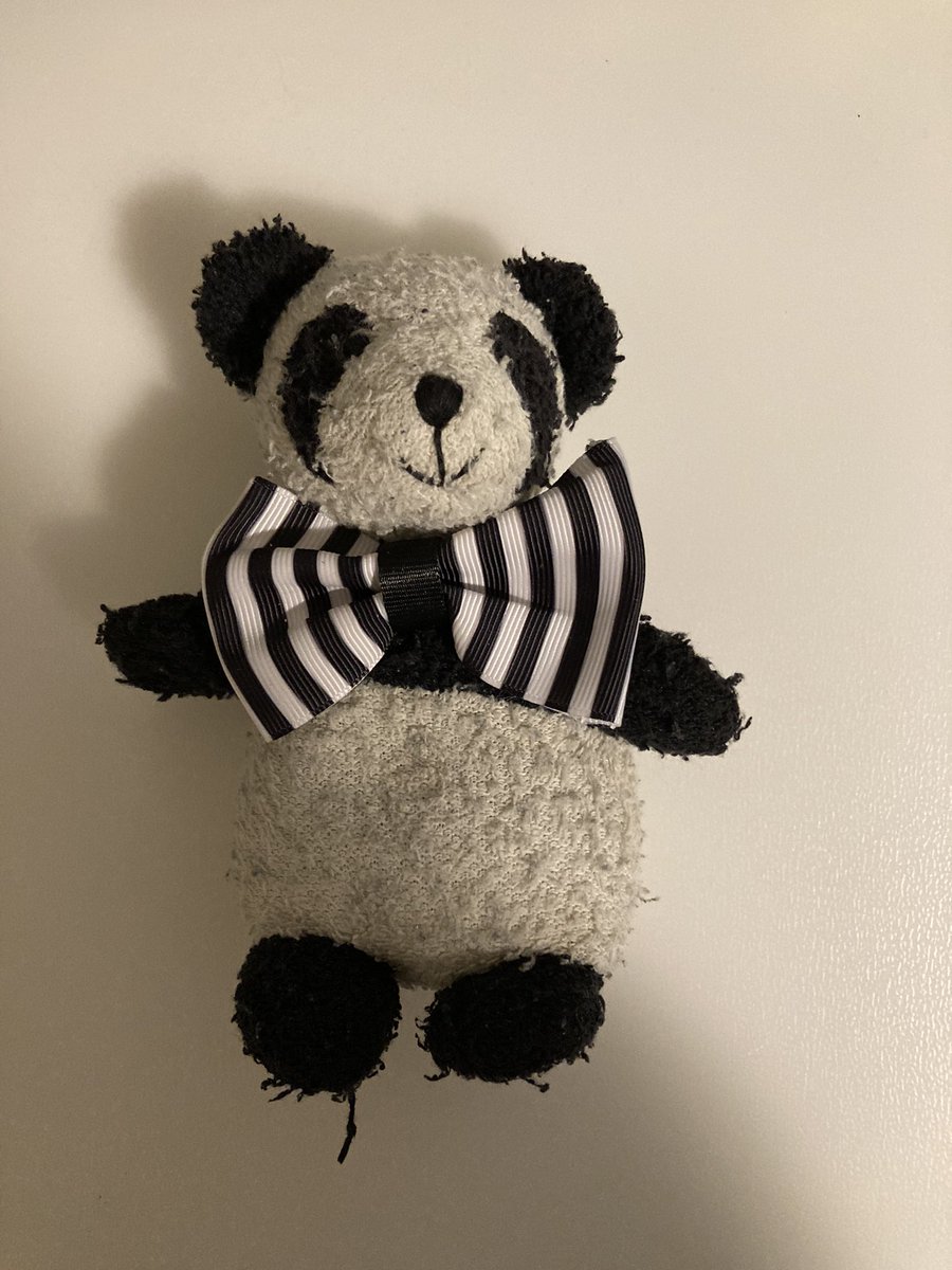 Adventure_Gauss's tweet photo. My human had a big meeting today and since I was hanging out on her desk, I needed to look professional. #supportBear https://t.co/MohGlnTLaa