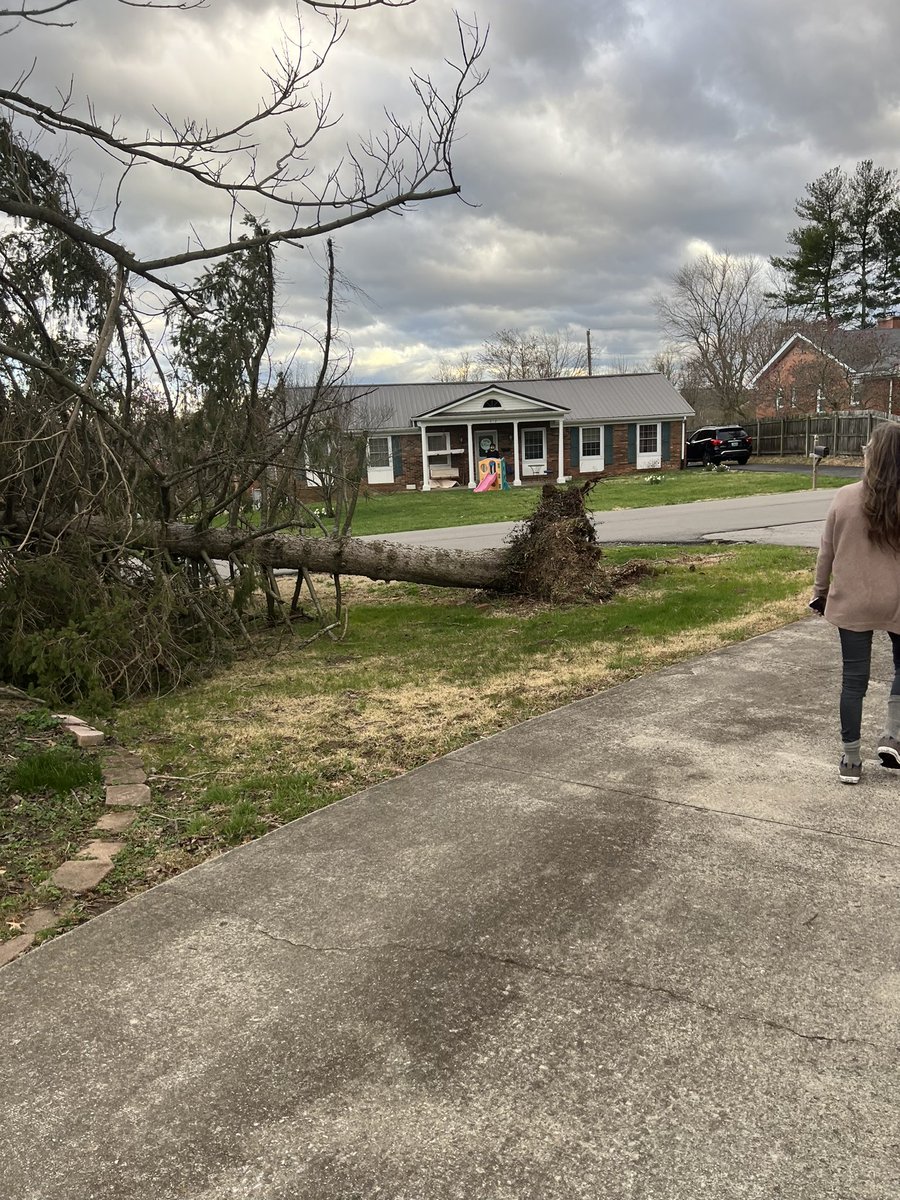 Pflug's tweet photo. The Highwinds took down our tree @ryanhallyall https://t.co/KLzYUFeEDG