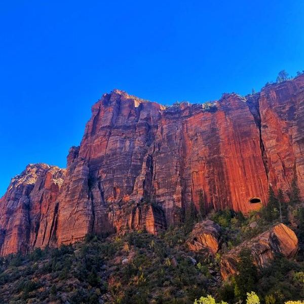 Magnificent Zion National Park! Different views from different areas.
#nationalparkexpress #travelusaexpress #findyourpark #visitzion #zion #nationalparks #nationalpark #nps #lifeelevated #getoutdoors #takeahike #vegastour #travelutah