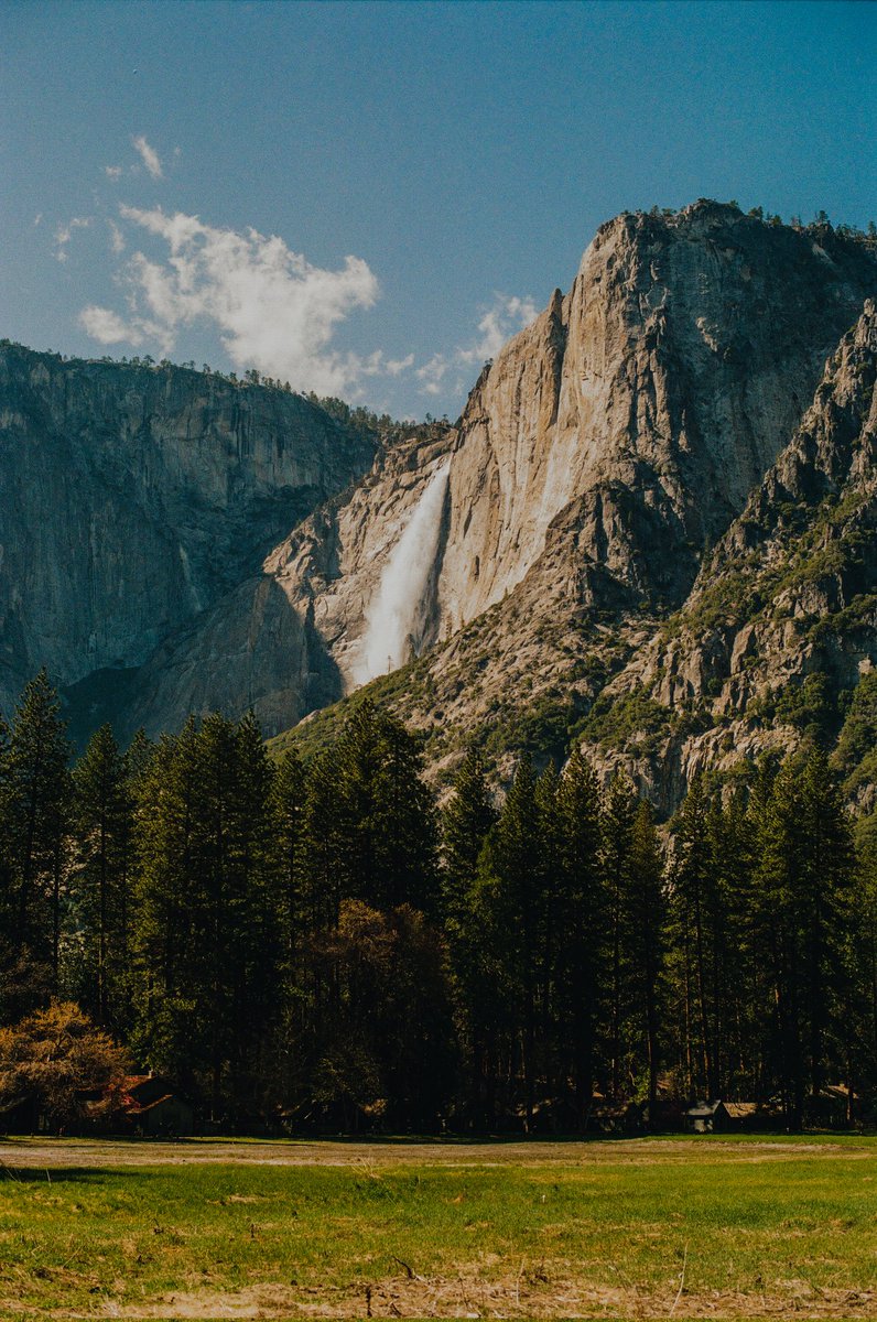 JaimeGFX's tweet photo. @AlexKittoe Forest of California 🎞 https://t.co/AnkgLOl4eQ