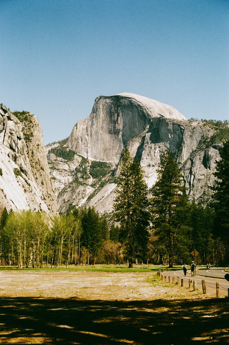 JaimeGFX's tweet photo. @AlexKittoe Forest of California 🎞 https://t.co/AnkgLOl4eQ
