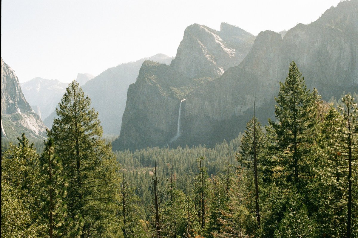 JaimeGFX's tweet photo. @AlexKittoe Forest of California 🎞 https://t.co/AnkgLOl4eQ
