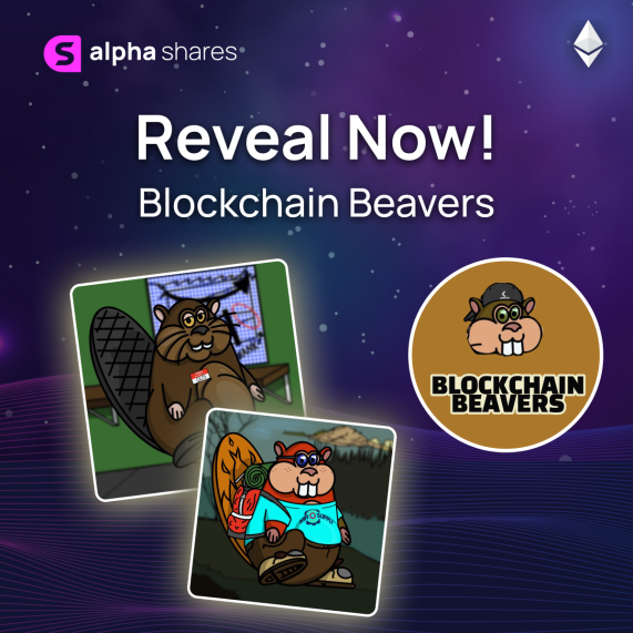 BlockchainBeavr's tweet photo. 🦫🦫SHOW US YOUR BEAVER!!🦫🦫
#ShowMeYourBeaver #DAM #BlockchainBeavers #NFTcommunity https://t.co/0XyjeqTuCf