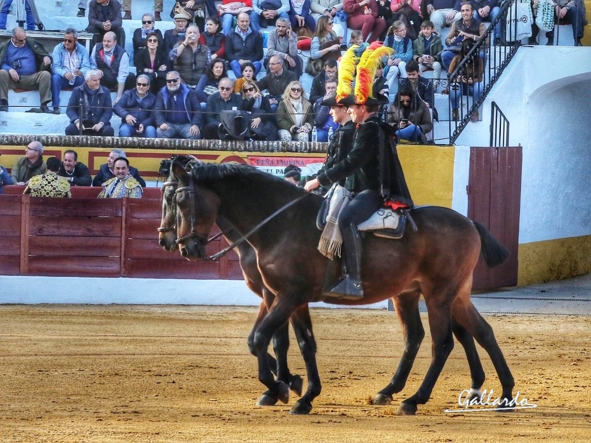 gallardotoros's tweet photo. Ritual.
Armonía.
Conjunción.
Para ser buenos alguaciles, también hay que sentirse toreros... https://t.co/jIDObMwlWg