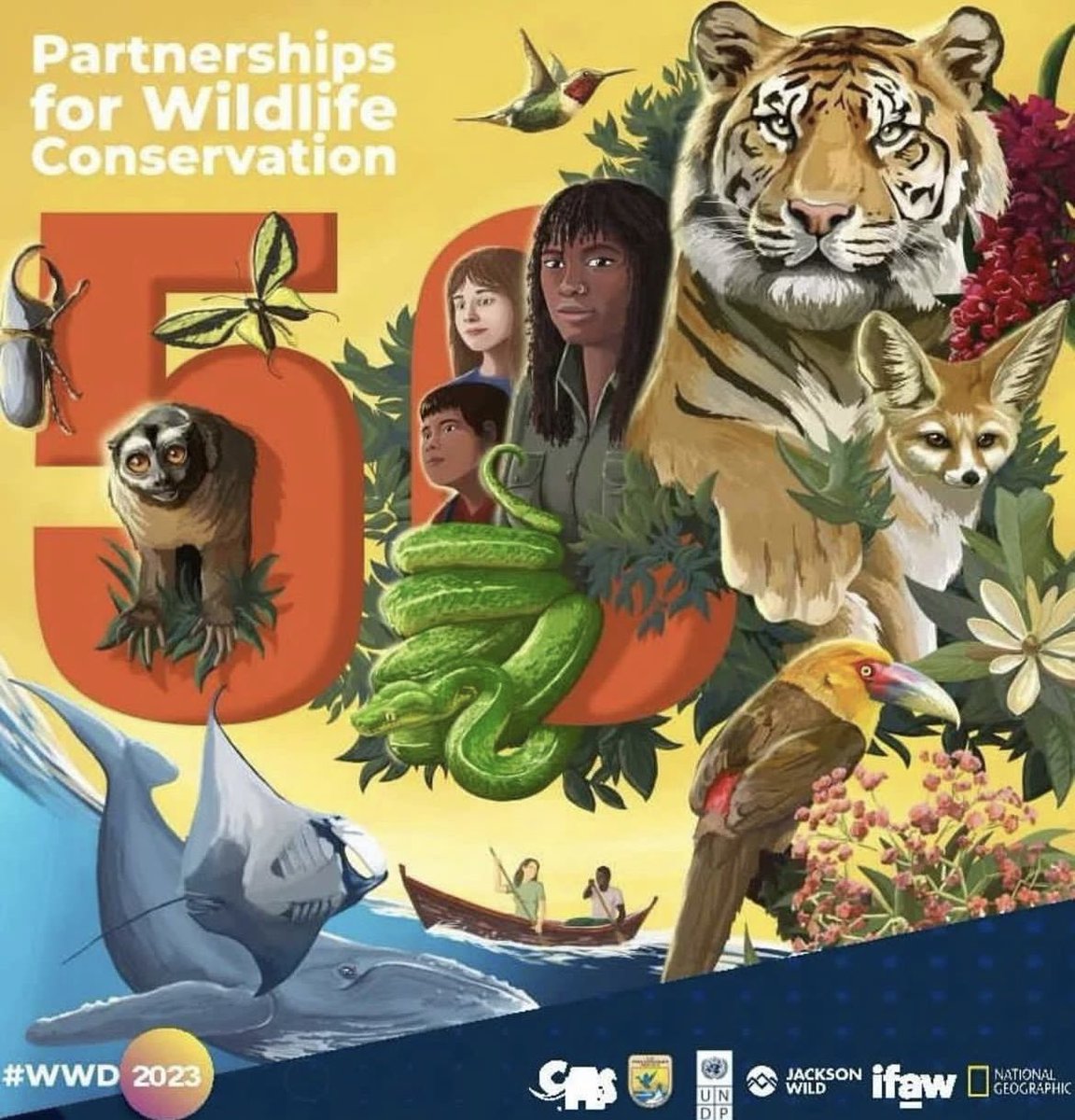 LouisianaGators's tweet photo. We’re proud to be a storteller at @worldwildlifeday on the successful recovery of the American alligator through partnerships between government, science, and industry. @LDWF pioneered the sustainable use program for alligator conservation that has proven its success! https://t.co/vpUsKZ1p3Q