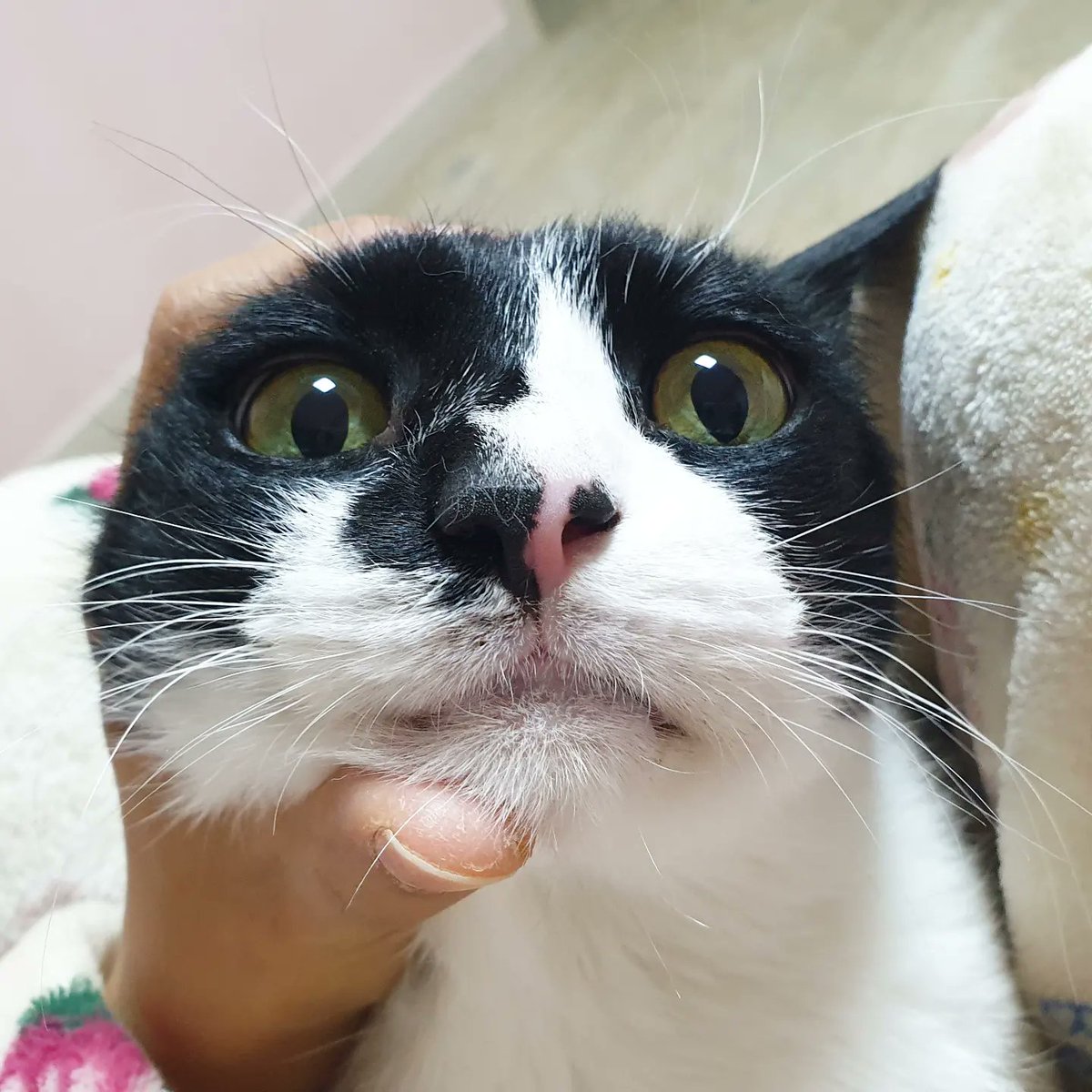 20230220 송이⭐️
20230304 초코⭐️