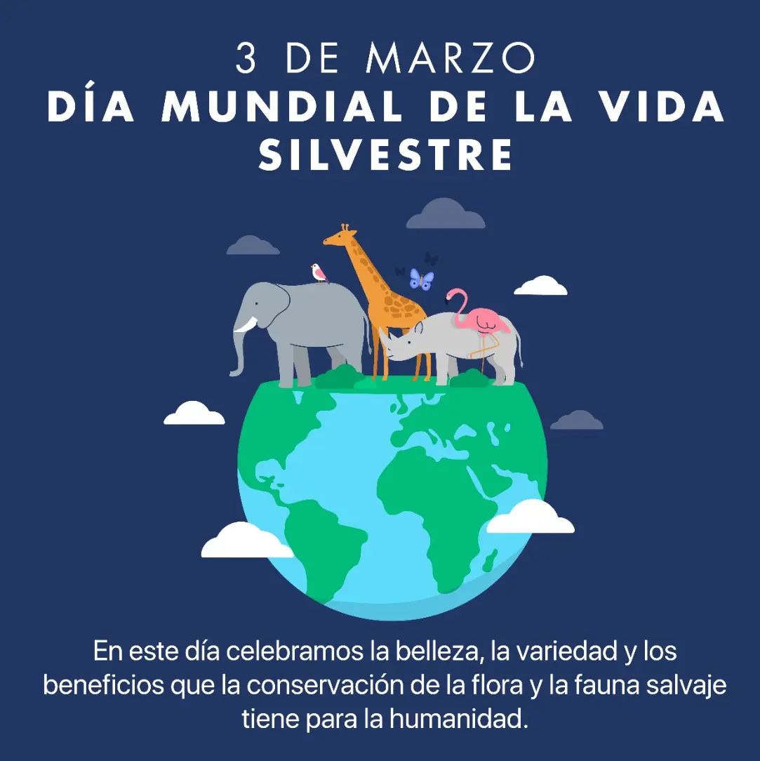 Hoy se celebra el Día Mundial de la Vida Silvestre🌳🐘🐬🦉🦊
🐯Esta fecha nos brinda la ocasión de celebrar la belleza y la variedad de la #flora y la #fauna #salvajes.