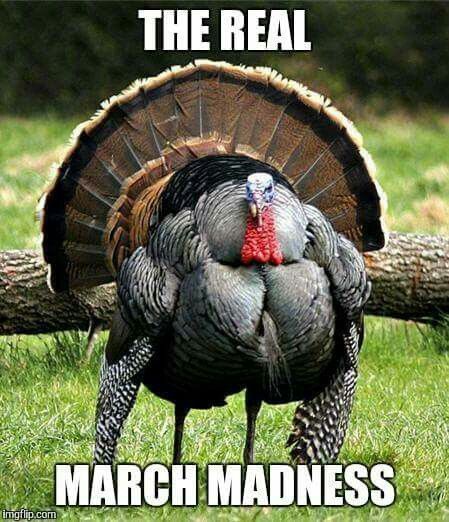AmpHuntingLand's tweet photo. Hang in there! Only 3 more weeks until Spring Turkey Season! https://t.co/QpdtI3gm6K