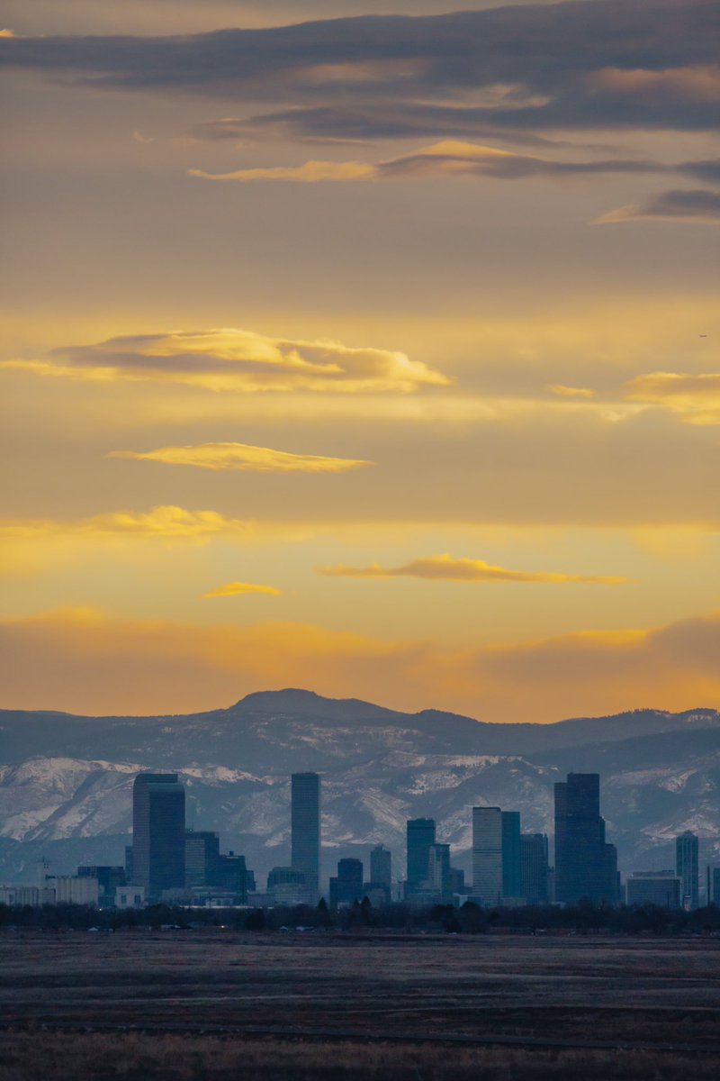 Happy 303 day 🤘🏼❤️💛💙