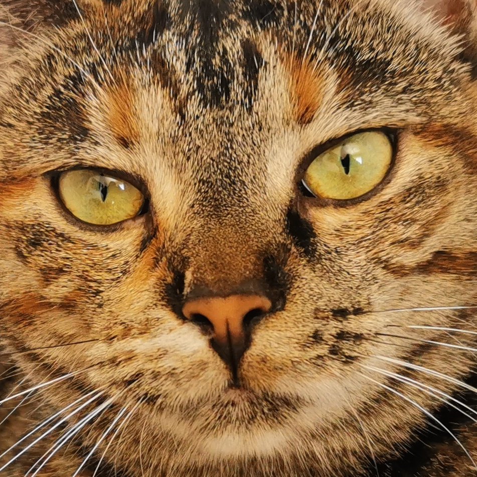 Yello__Flash's tweet image. #NewProfilePic