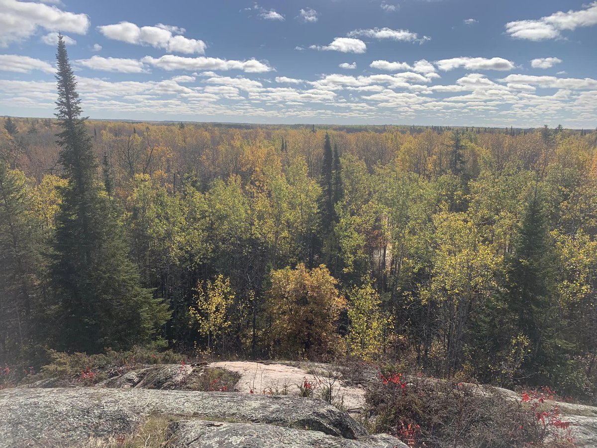 Cary Hamel (@caryhamel) on Twitter photo Come work at <a href="/NCC_CNC/">NatureConservancy.ca | Conservationdelanature.ca</a> in Manitoba this summer - amazing natural areas, people and hands-on conservation work that makes a difference!
Next Generation Conservation Leaders Program posting: workforcenow.adp.com/mascsr/default… Come work at <a href="/NCC_CNC/">NatureConservancy.ca | Conservationdelanature.ca</a> in Manitoba this summer - amazing natural areas, people and hands-on conservation work that makes a difference!
Next Generation Conservation Leaders Program posting: workforcenow.adp.com/mascsr/default…