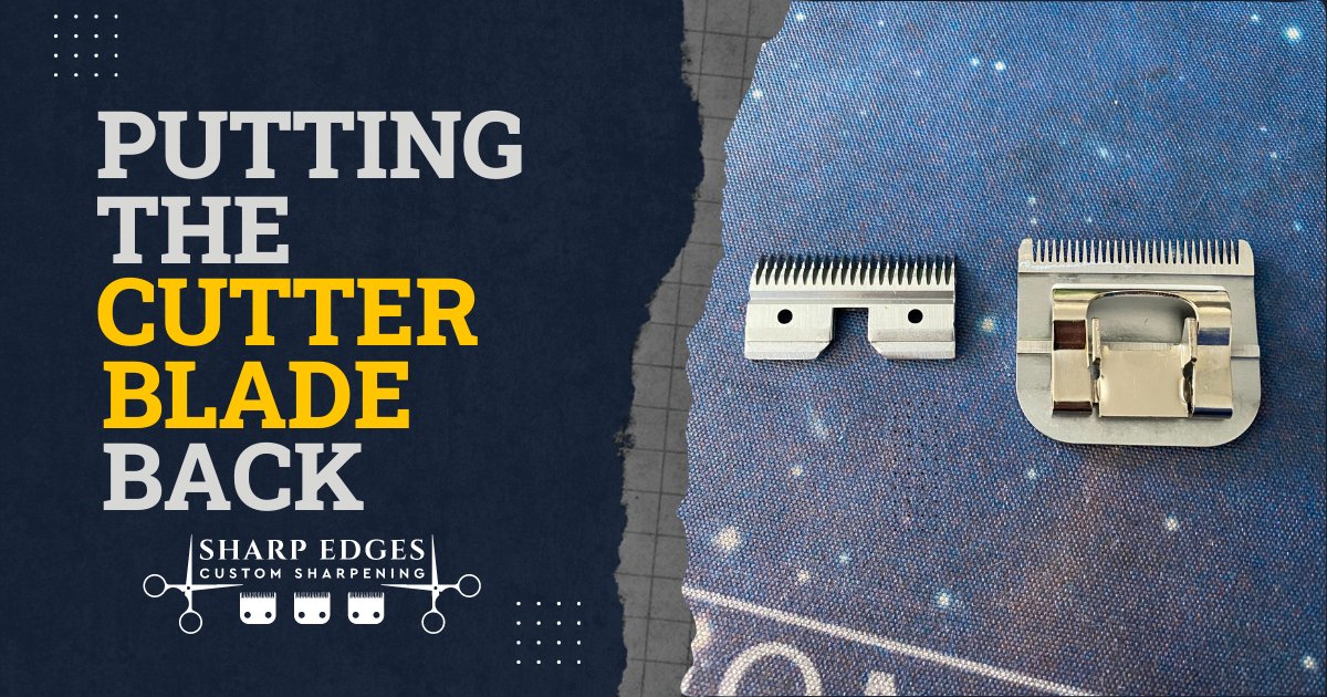 sharpedges03's tweet photo. Simple and easy way to put your cutter blade back in your clipper blade. I hope this helps…😁

#SharpEdges #ClipperMaintenance #ClipperBlades

https://t.co/HIqkJ0oLzA https://t.co/r8UqgBtpn0
