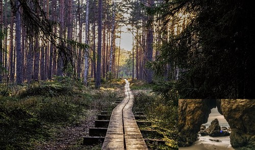 SeaGatePsych's tweet image. Walk and Talk Therapy: Nature’s Healing Power | seagateps.com/walk-and-talk-…