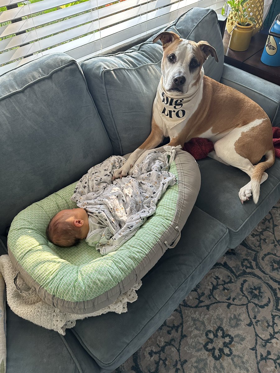 cam_weed's tweet photo. On Sunday February 26th, we welcomed baby boy Benjamin to the fam❤️ Tedra and I are so in in love with our sweet boy 🥹🥰 Thank you to our friends and family for all your love and support! https://t.co/Ko2dvXeQSe