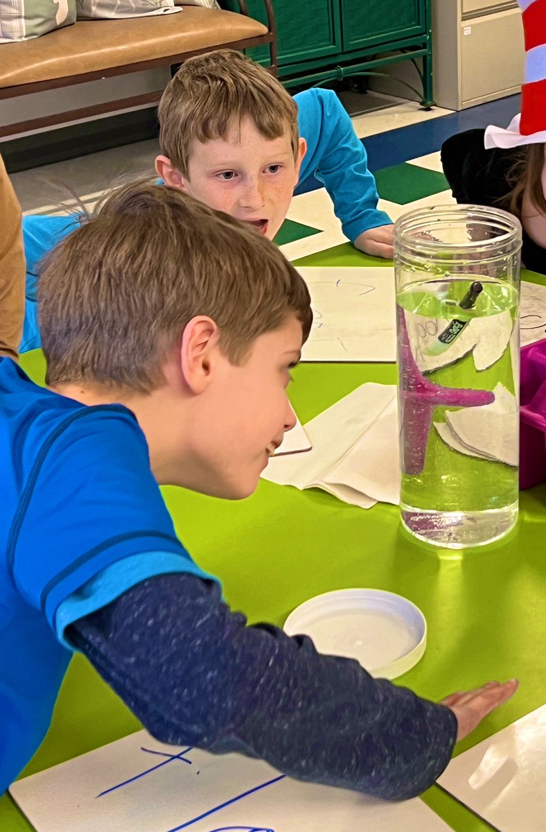 Maryann Molishus tweet media