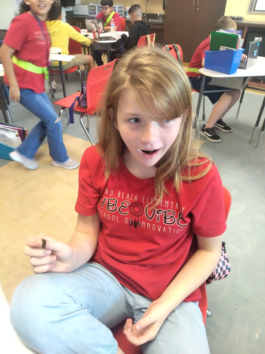 Mrs Berwick tweet media