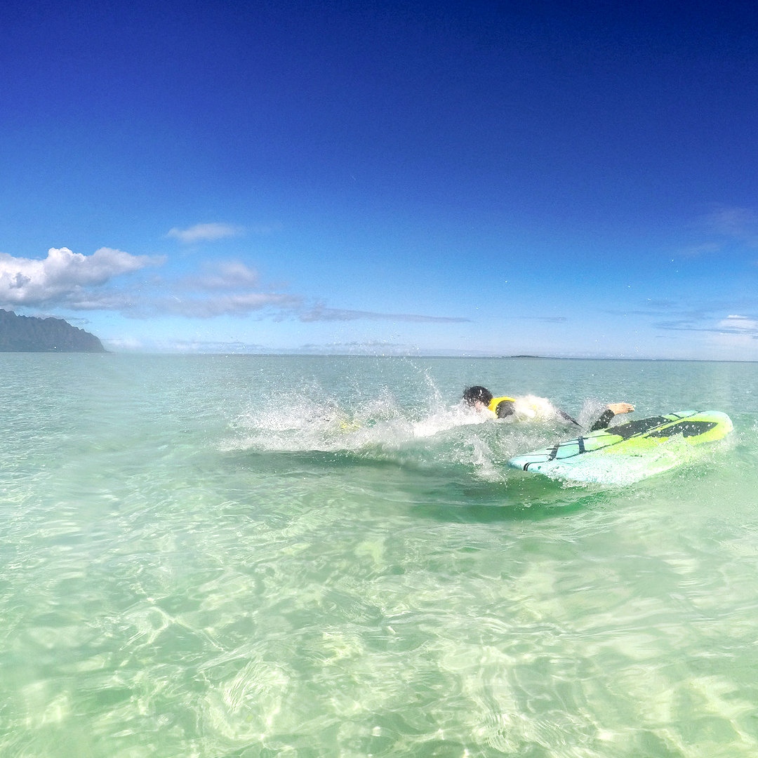 #captainbrucehawaii 🔹⚓🔹 #oahu #standuppaddle #SUP #kaneohesandbartour