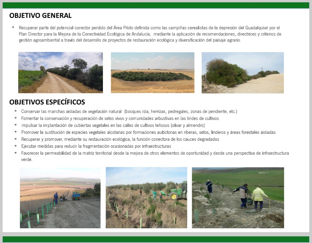 rafamartinez_DT's tweet photo. Primera reunión informativa en "Finca la Reina" con agricultores colaboradores del Proyecto "Mejora de la Conectividad Ecológica de la Campiña de Córdoba".🌾🌳🍃☘️🌸🌿 @MedioAmbAND,  IMGEMA, @AytoCordoba. https://t.co/Ip7j7pHkMF
