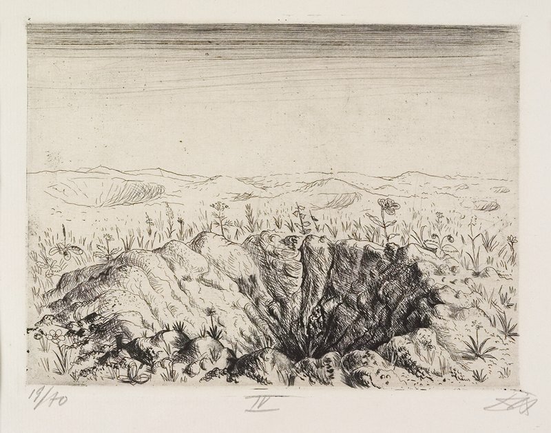 Otto Dix, Granattrichter mit Blumen (Frühling 1916) (Grenade Trench with Flowers [Spring 1916]), plate 24 from Der Krieg (The War), 1924 #printsanddrawings #artsmia collections.artsmia.org/art/96557/