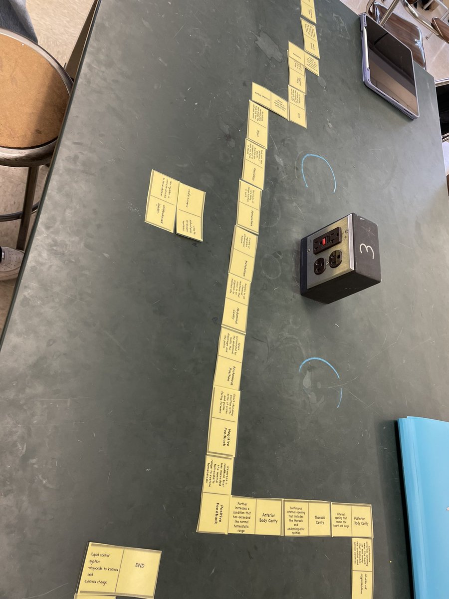 PatriciaMannion's tweet photo. Today in A&amp;P students used “dominoes” to practice and reinforce their vocabulary. #gcgrows #gcscience #gardencityhs https://t.co/ggHnZBH970