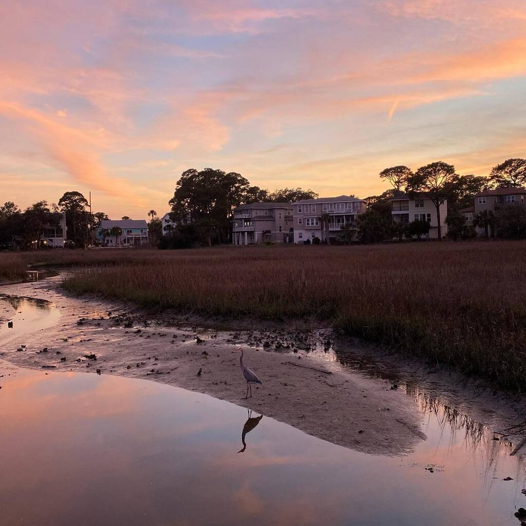 VisitTybee's tweet photo. Peachy skies &amp; feathery friends. 🐦 #VisitTybee [📸 @ourtybeebeachhouse] 
.
.
.
#tybeeisland #tybee #tybeebeach #savannahsbeach #tybeeislandbeach #exploregeorgia #whattodoontybee #beachlife #coastalgeorgia #whattodoinsavannah #tybeelivin https://t.co/llfuxrsFsn