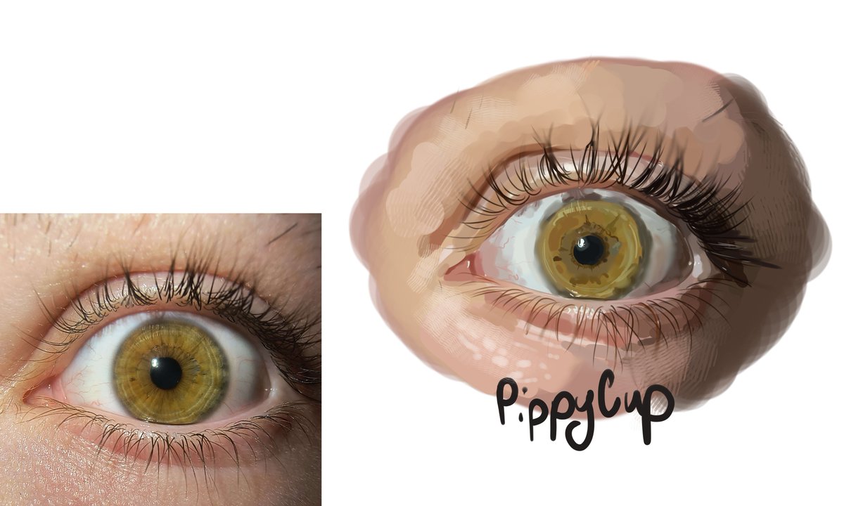 CupPippy's tweet photo. Did a little study of my eye last night, was pretty fun https://t.co/XkrR6OsWa2