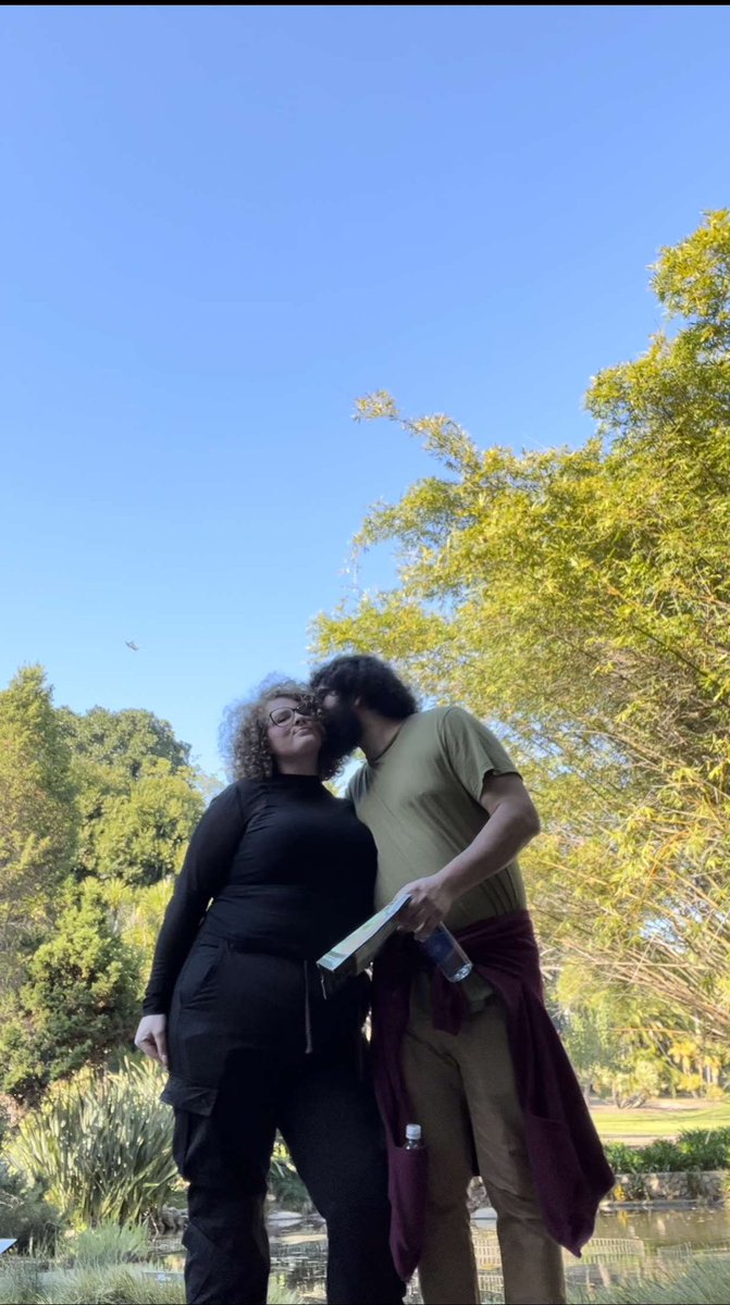 CS3 | Tree tweet media