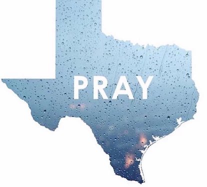 Matthew Gaines tweet media