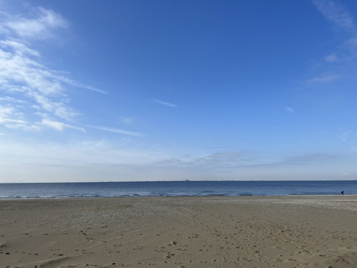 sho_full's tweet photo. おはよう✨
朝の海気持ちいい！！ https://t.co/iJEgC8oa1g