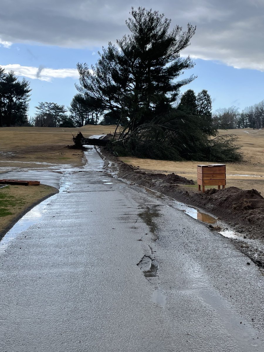 One down.  Hopefully no more.  Sit tight!