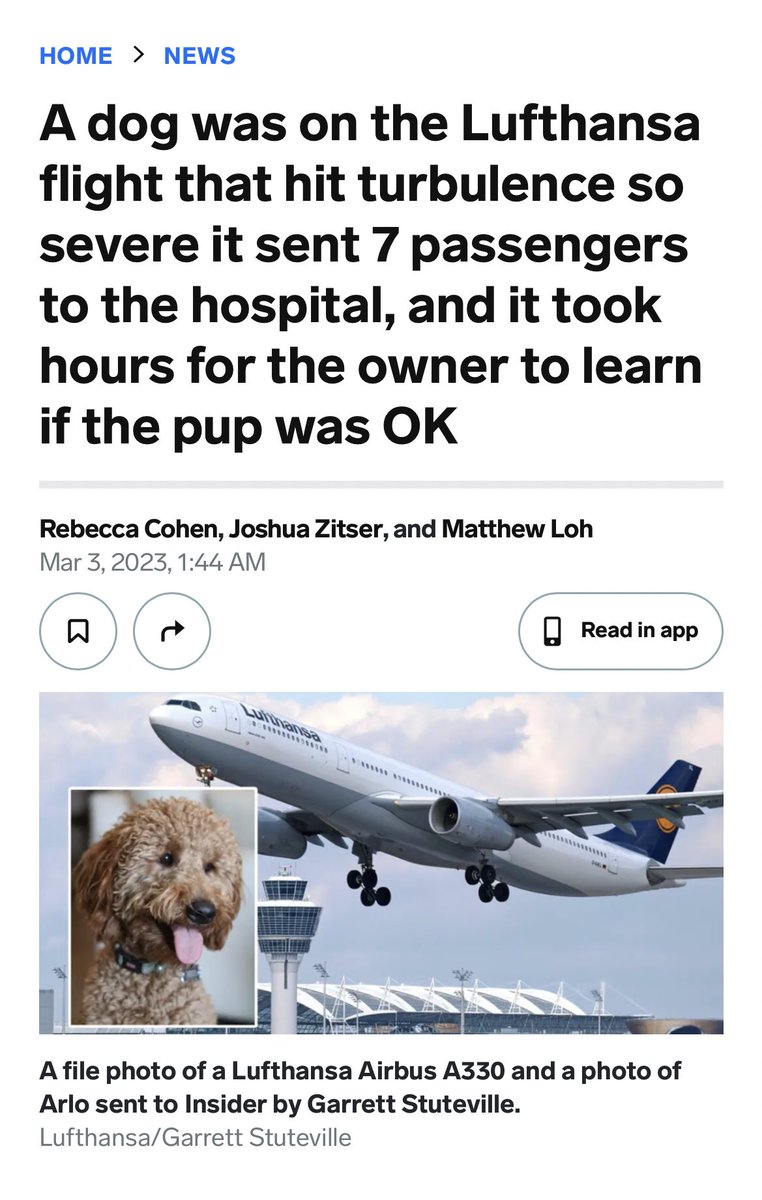 _daskas's tweet photo. What a dogsguise. https://t.co/Ut0zj12zEA