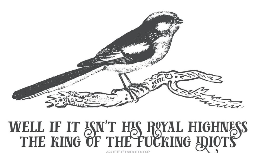 georgearcher tweet picture