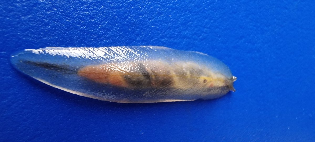 CoolWhare tweet media